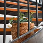 Casa Alegre Hotel