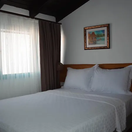 Hotel Casa Alegre *