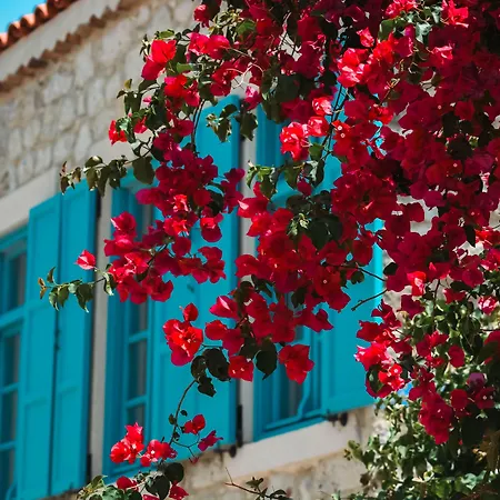 Casa Alegre * Alaçatı